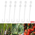 Pcs Agricultural Ear Hook Farming Tomatoes Greenhouse Clamp Fruit Vegetable Fix I88 Other Garden Supplies